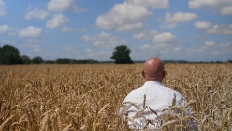 A man sit down and touches a wheat ear in the wheat field on the background 스톡 동영상 113919937