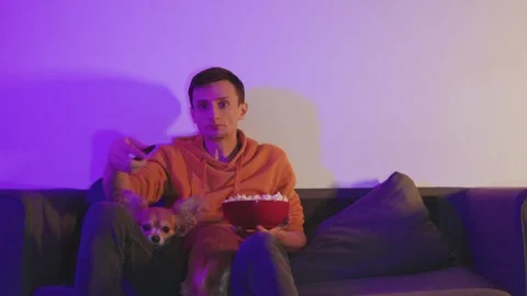 A man sits alone watching TV with a chihuahua and a bowl of popcorn at night Stock Footage 297563576
