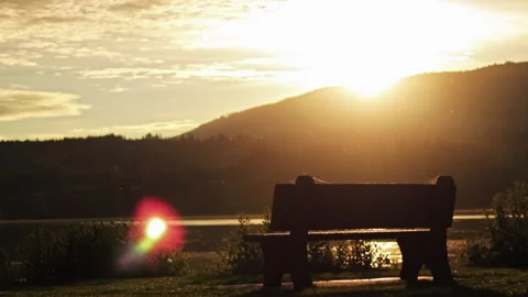 Man sits at bench during sunset looking out over calm lake in Canada Vídeo Stock 168463952