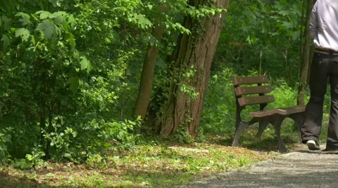 Man Sits on a Bench Holding a Tablet in Park Thinking Looking at the Trees Stock Footage 63810407