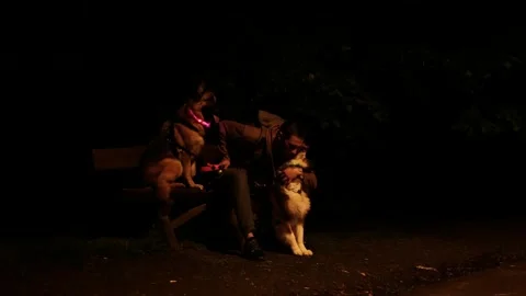A man sits on a bench at night with his two dogs. German Shepherd wearing a Stock Footage 319384134