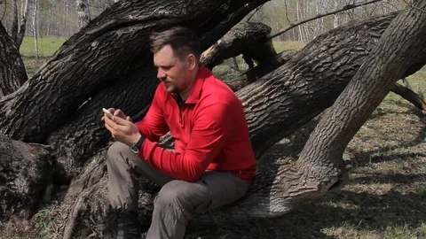 A man sits on the branches of a large tree and uses a smartphone Stock Footage 75336100