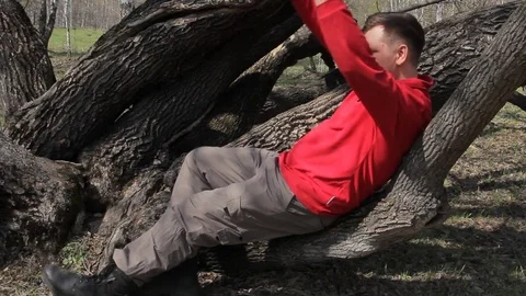 A man sits on the branches of a large tree and uses a smartphone Stockbeeldmateriaal 75336123