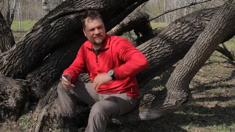 A man sits on the branches of a large tree and uses a smartphone Stock Footage 75336155