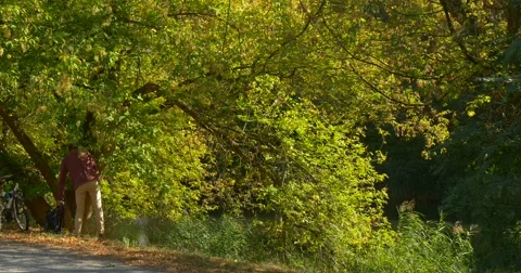 Man Sits Down On The Ground Under Spreading Green Tree And Puts His Black Stock Footage 56064303