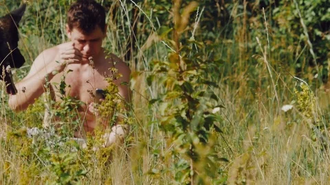 A man sits on the grass with German shepherd in the meadow and looking at the Stock Footage 111658532