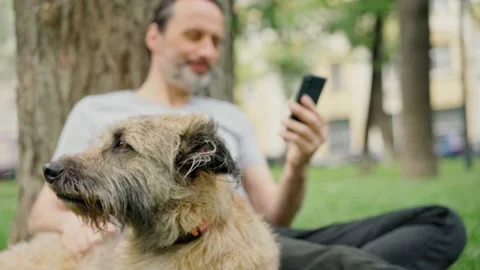 A man sits on the grass in the park stroking his dog and taking a video call Stock Footage 155815599