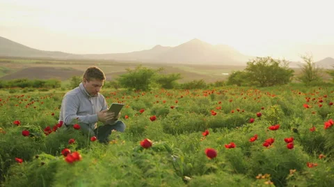 Man sits on the nature and does business conversation via tablet Stock Footage 62518605