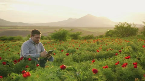 Man sits on the nature and does business conversation via tablet Stock Footage 62518965
