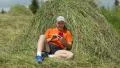 Man sits near haystack and looks through photos on his smartphone HD Footage
