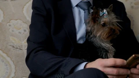  A man sits on a sofa holding a small dog in his arms. Stock Footage 121020719