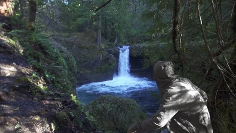 Man Sits on Tree Looking at Waterfall Slow Motion Stock Footage 98863376