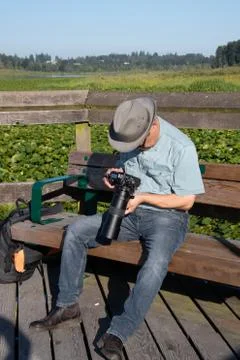 A man sitting on a bench and checking his camera. Stock Photos