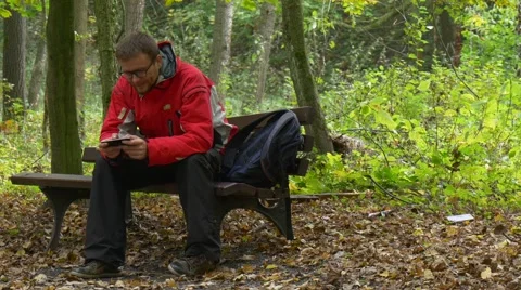 Man Sitting on a Bench in Autumn Keeps Smartphone Stock Footage 68686401
