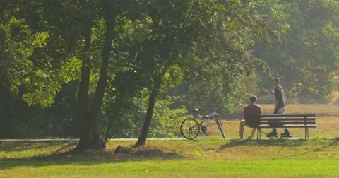 Man is Sitting at The Bench Backpack is on The Bench Man Has a Rest Observing Stock Footage 56063226