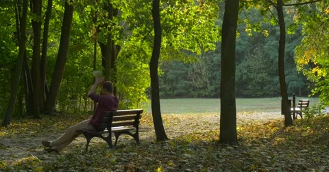 Man is Sitting at The Bench With Bouquet Made Up from Yellow Leaves Man Has Video stock 55419829