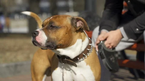 Man is sitting on the bench 스톡 동영상 91535160