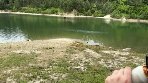 Man Sitting on Bench by Forest Lake Drinking Beverage Stock Footage 315434393