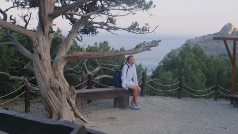 Man sitting on a bench in a juniper grove inhaling fresh coniferous air Stock Footage 157820028