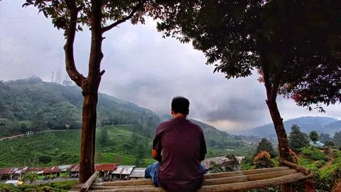 Man sitting on a bench next to a tree Stock Photos