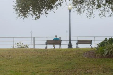 Man sitting on bench at park on a foggy morning Stock Photos