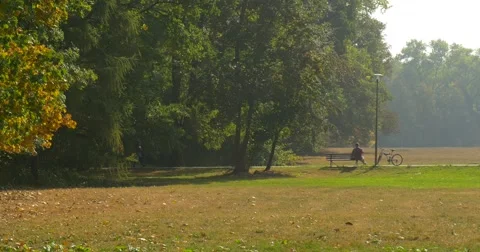 Man is Sitting at The Bench Wide Shot Man's Back Man is Reading Thinking Have a Stock Footage 56076255