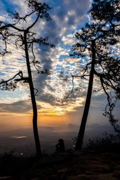 The man sitting between two tree with sunrise background Stock Photos