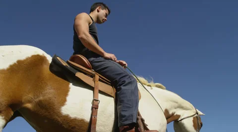 Man Sitting on Brown and White Horse, Low Angle Stock Footage 35308955