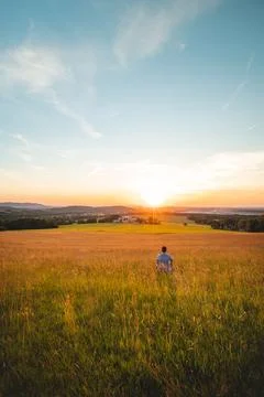 Man sitting in a cornfield thinks about his future looking into the sunset. S Stock Photos