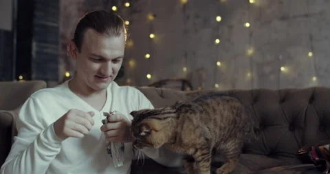 A man sitting on the couch is feeding his cat from hands Stock Footage 135635905