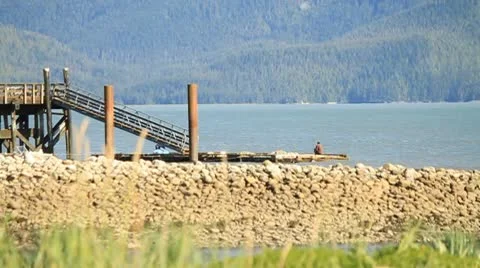 Man sitting on dock Stock Footage 10751379