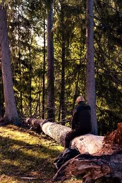 Man Sitting on Fallen Tree in Forest Stock Photos