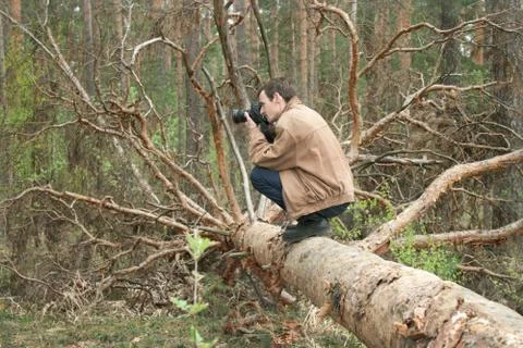 A man sitting on a fallen tree Stock Photos