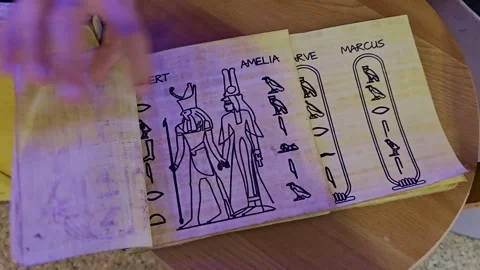 A man sitting in front of a laptop computer Stock Footage 291924142