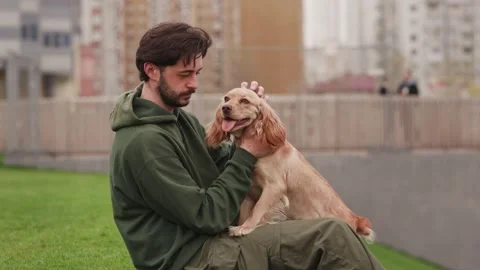 A man is sitting on the grass in the park and stroking a cocker spaniel that Stock Footage 240925342