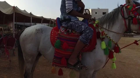 A man is sitting on a horse. Stock Footage 79120721