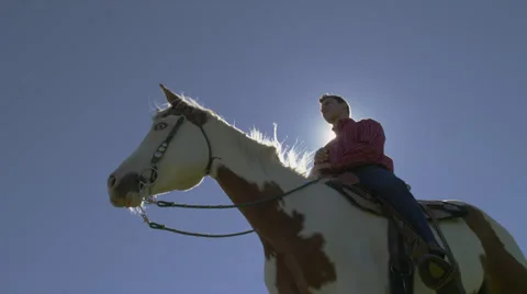 Man Sitting on Horse, Low Angle Stock Footage 35311128