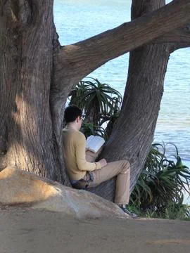 Man sitting outside on tree while reading Stock Photos