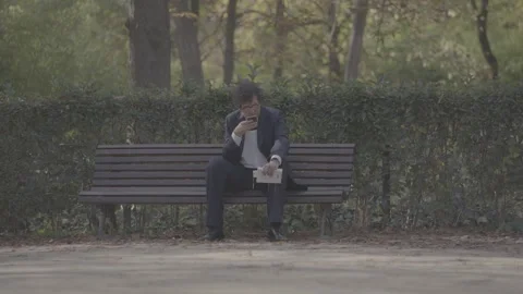 A man is sitting on a park bench in Madrid, Spain Stock Footage 345027229
