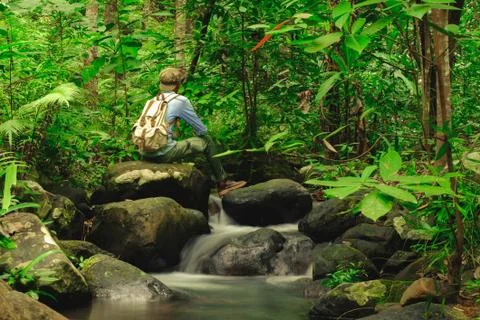 Man sitting on rock in rainforest with backpack among Small streams Stock Photos