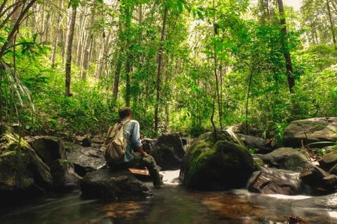 Man sitting on rock in rainforest with backpack among Small streams Stock Photos
