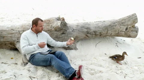 A man sitting in the sand on a fallen tree Video stock 55071225