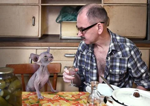 Man sitting at a table and communicating with a hairless cat a Canadian sphin Фото