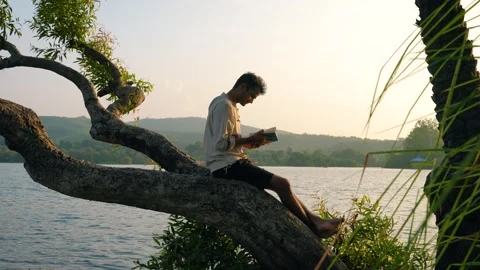 Man Sitting on Tree Above Mahi Sagar Dam Stock Footage 337775724