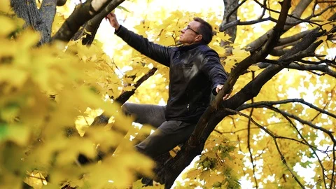 Man sitting on a tree trunk away from hustle and bustle of a city. Nature Stock Footage 97386485