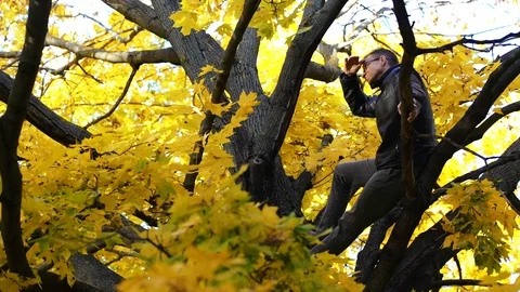 Man sitting on a tree trunk away from hustle and bustle of a city. Nature Stock Footage 97386524