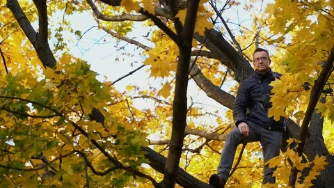 Man sitting on a tree trunk away from hustle and bustle of a city. Nature Stock Footage 97386546