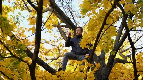 Man sitting on a tree trunk away from hustle and bustle of a city. Nature Stock Footage 97386660