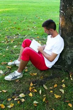 Man sitting under a tree reading a book Stock Photos