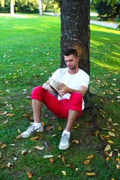 Man sitting under a tree reading a book Stock Photos